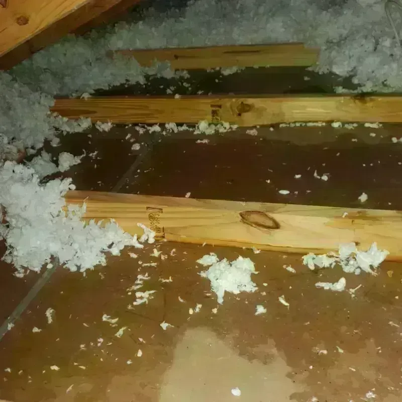 Attic Water Damage in Pleasanton, TX