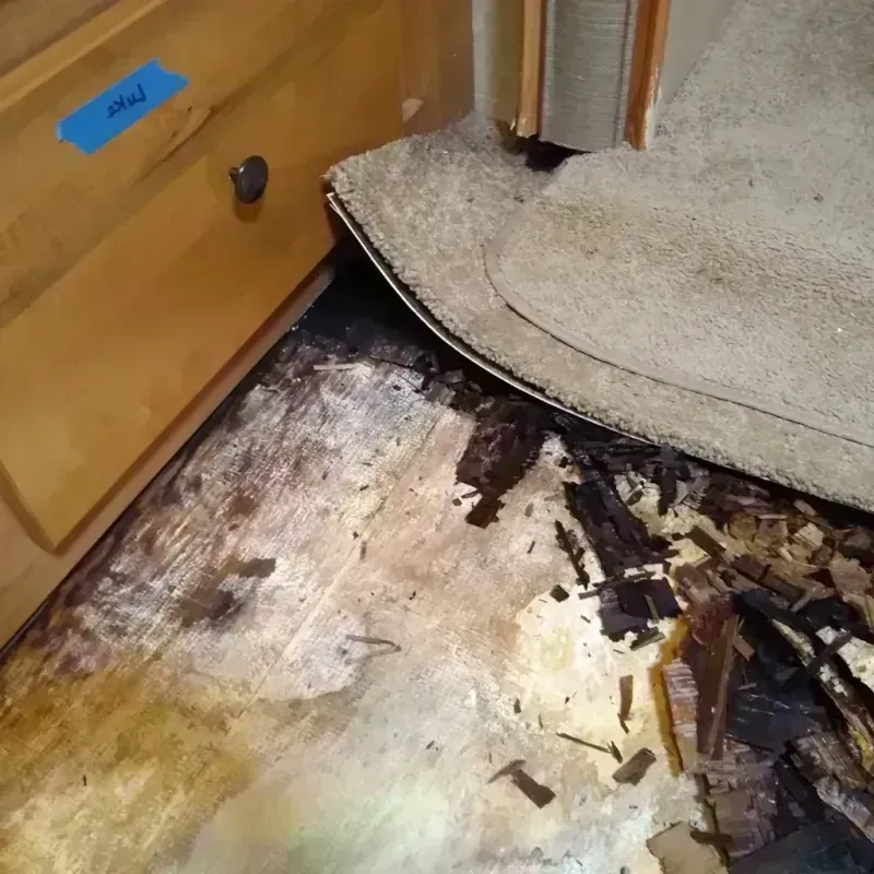 Wood Floor Water Damage in Pleasanton, TX